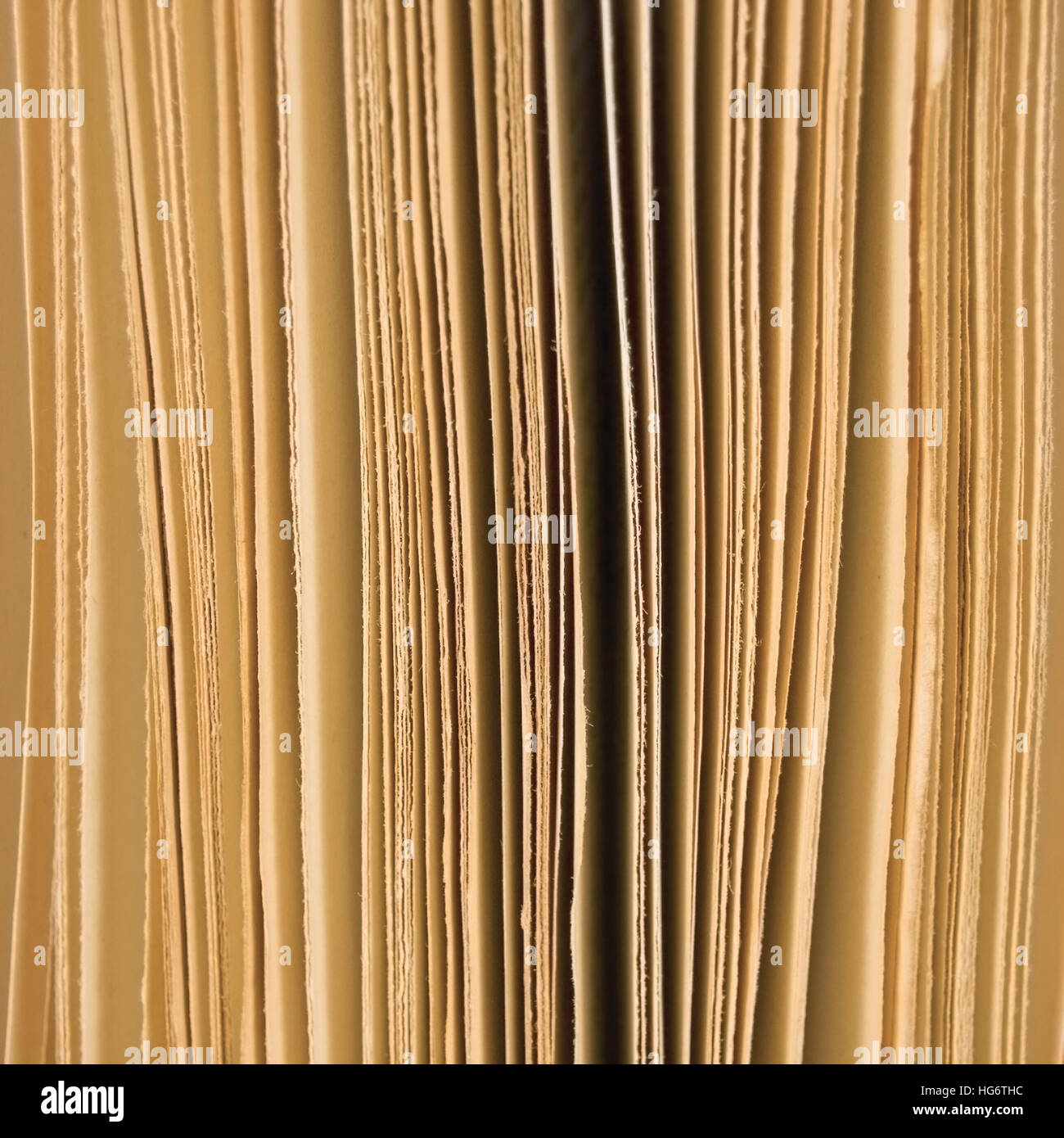 Leicht geöffneten Buch Seiten Closeup Hintergrund Sepia, große vertikale Makro-Studio gedreht Stockfoto