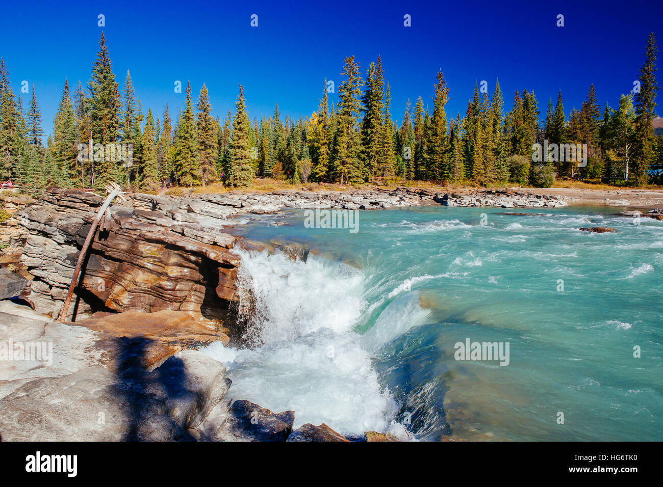 Athabasca Falls ist ein Wasserfall im Jasper National Park auf dem oberen Athabasca River, etwa 30 km südlich von der Townsite von Jasper, Alberta, können Stockfoto