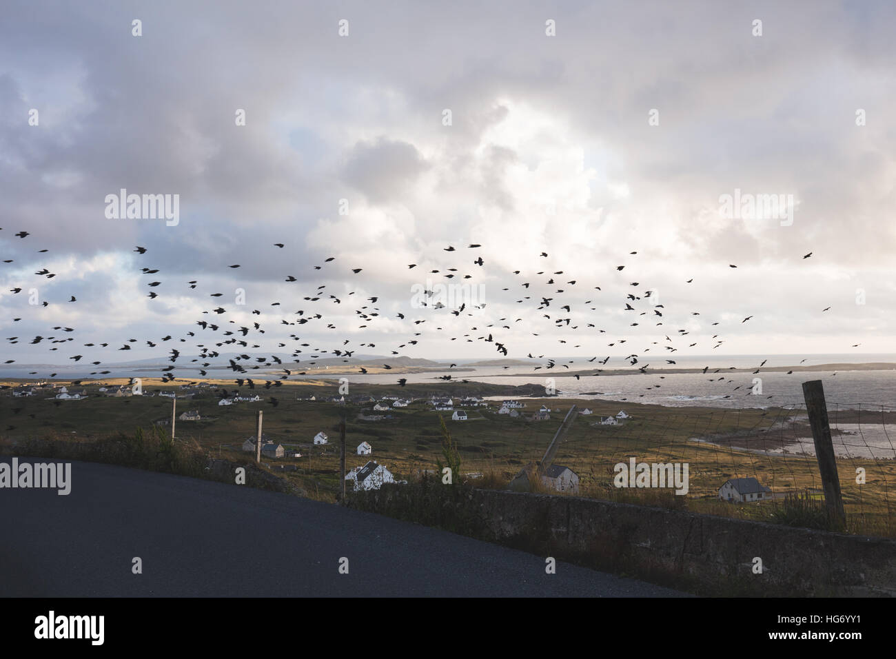 Ein Mord von Krähen fliegen über Bun Na Leaca, County Donegal.  Irland Stockfoto