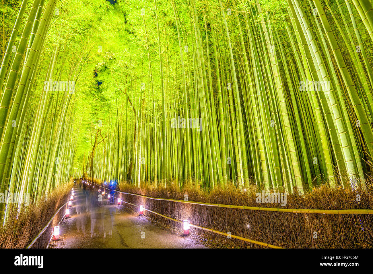 Der Bambuswald von Kyoto, Japan. Stockfoto