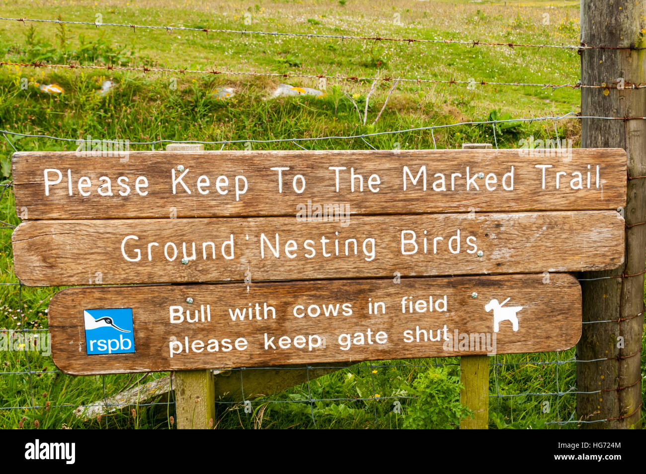 Schild am Balranald Nature Reserve auf North Uist im äußeren Hebriden warnt der Boden brütende Vögel und eines Stieres mit Kühen im Feld. Stockfoto