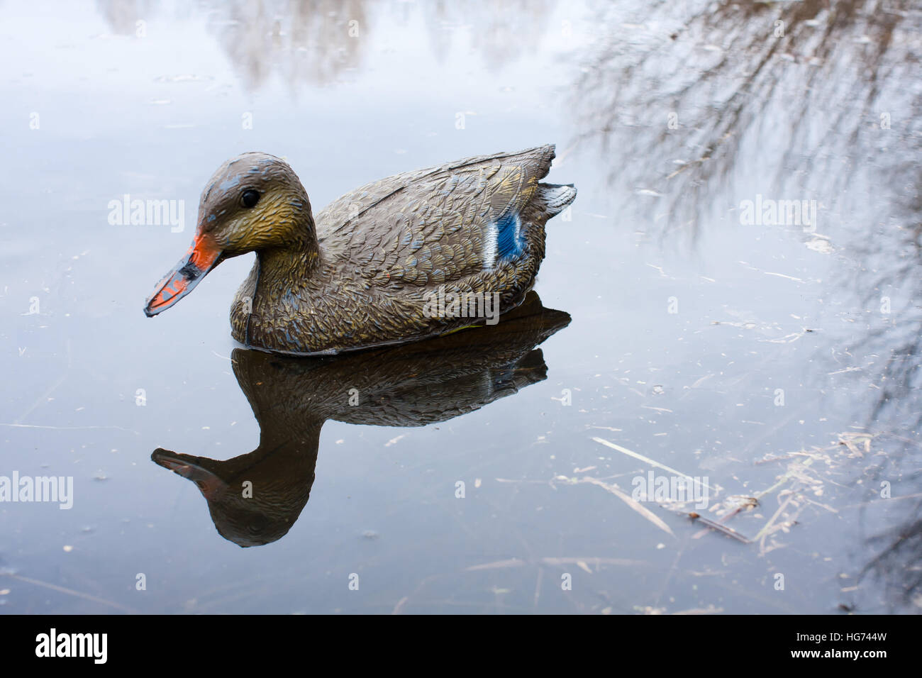 gefüllte Ente auf dem Wasser Stockfoto