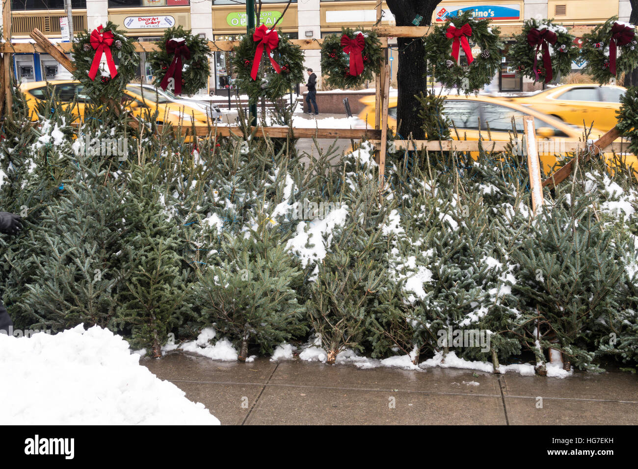 Bürgersteig Weihnachtsbaum Lieferant, New York City, USA Stockfoto