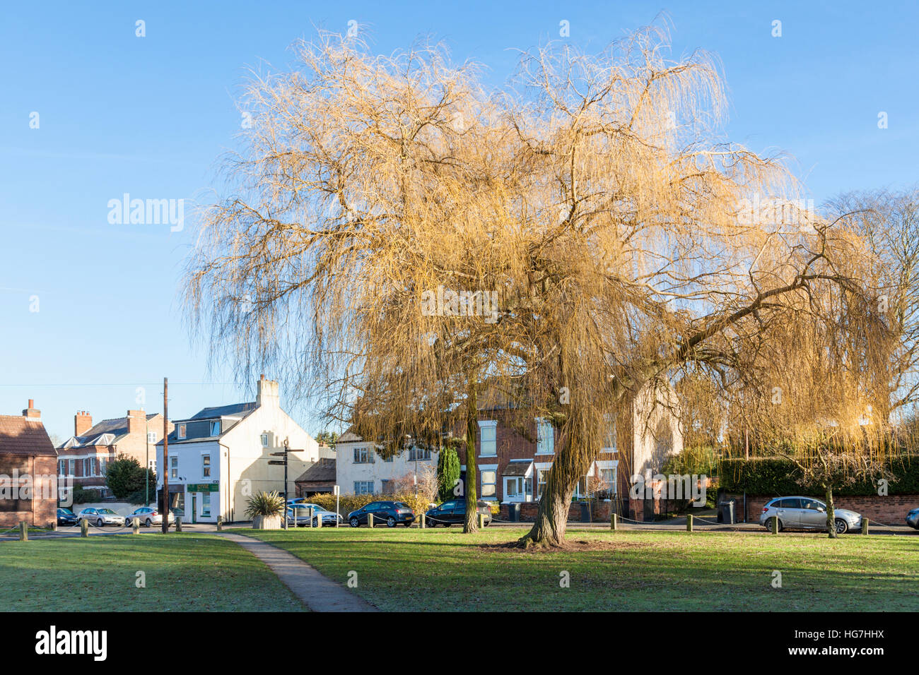 Willow Tree und das Village Green in Nottinghamshire Dorf dem Ruddington. Nottinghamshire, England, Großbritannien Stockfoto