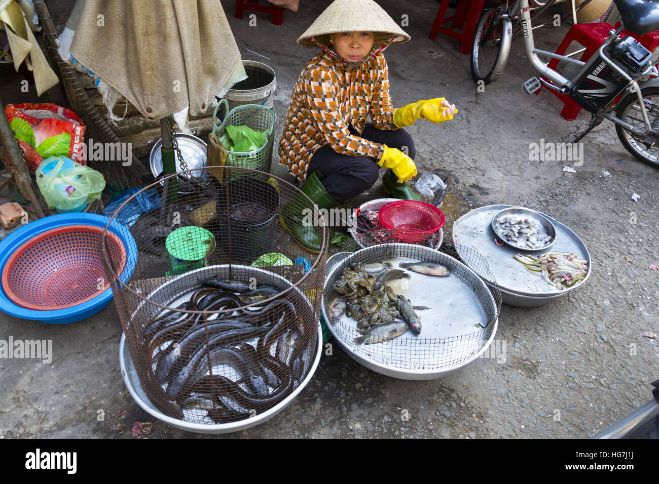 MY THO, VIETNAM - Februar 15: Frau verkauft Fisch auf Flohmarkt am 15. Februar 2012 in My Tho, Vietnam. Stockfoto