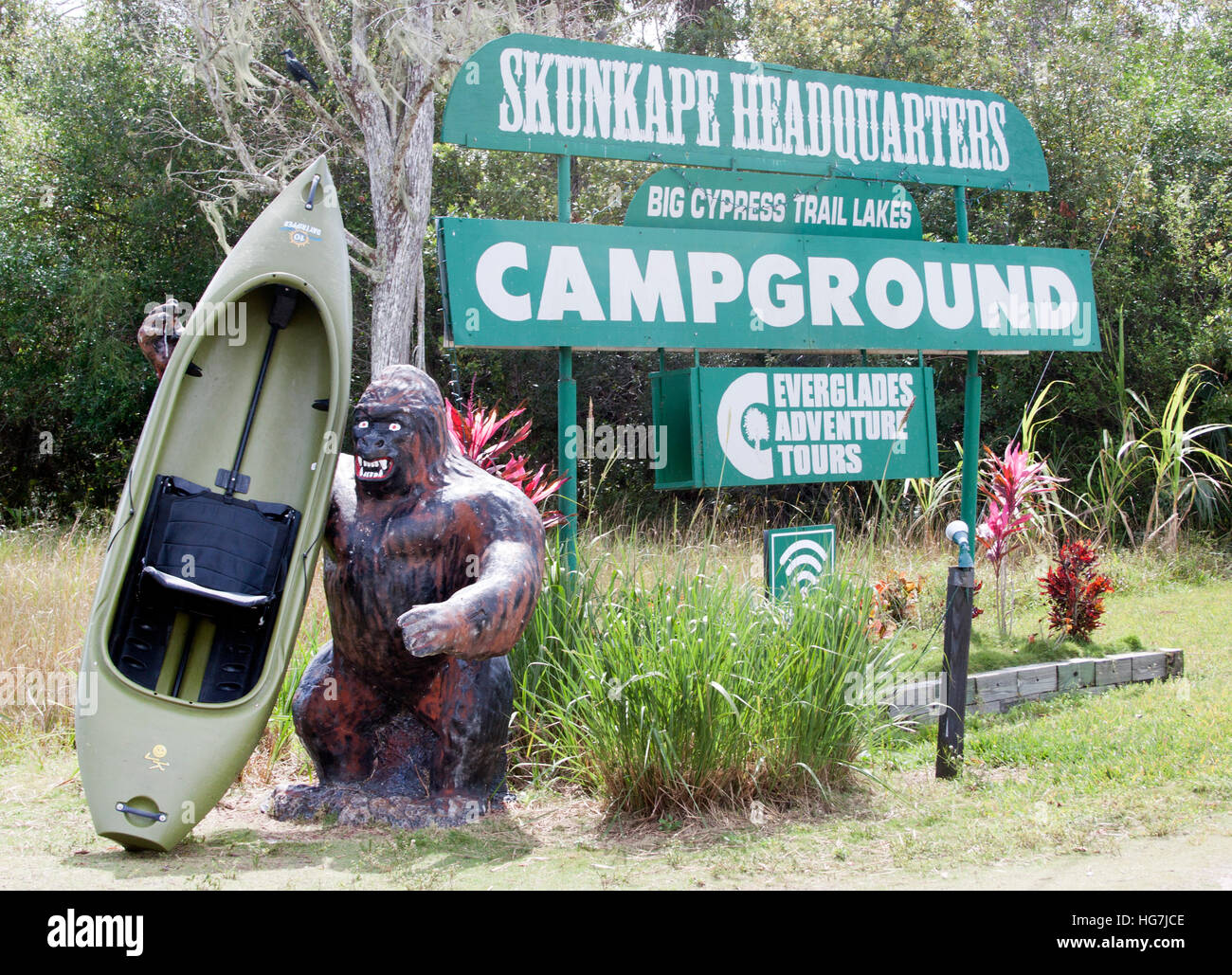 Skunk Ape Hauptquartier In Den Florida Everglades Stockfotografie Alamy
