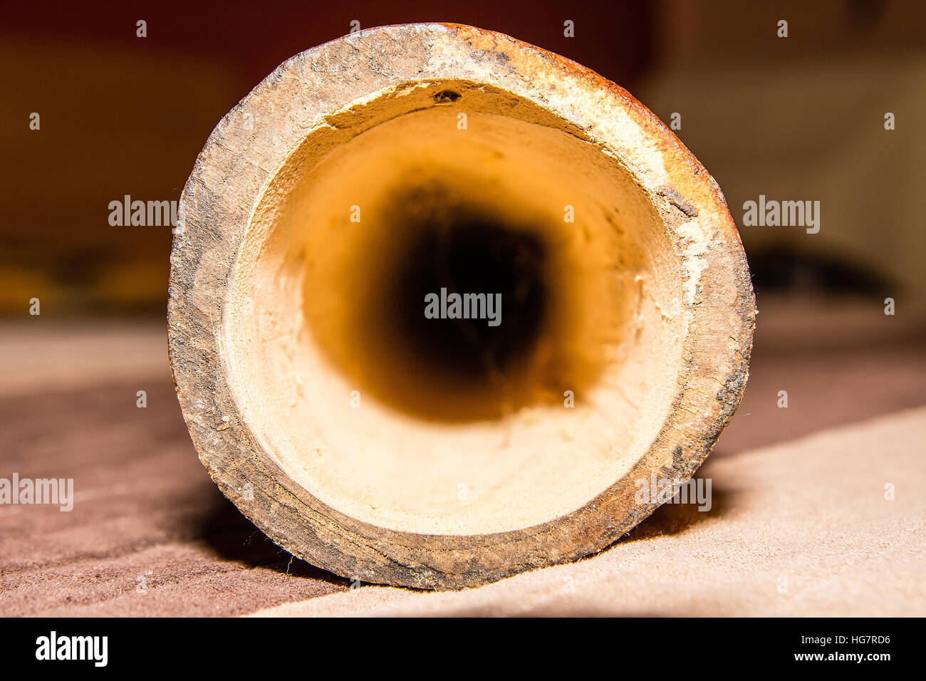 Didgeridoo - traditionelle Aborigines instrument Stockfoto