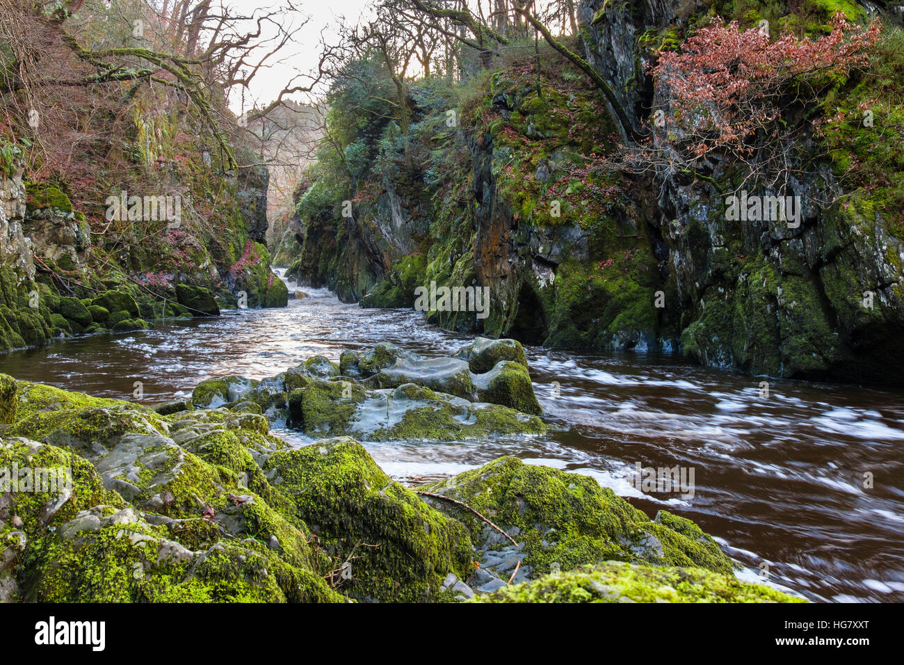 Auf der Suche stromaufwärts entlang Afon Conwy Fluss fließt durch enge Fairy Glen-Schlucht in Snowdonia-Nationalpark Betys-y-Coed Wales UK Stockfoto