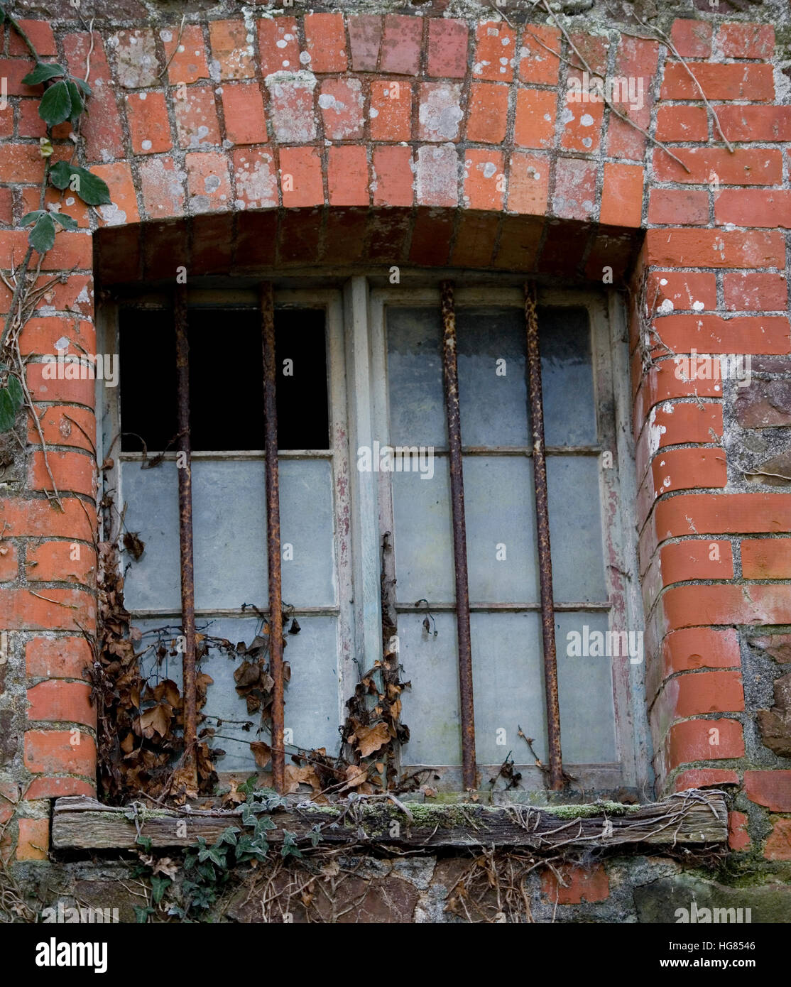 vergittertes Fenster in ein landwirtschaftliches Gebäude Stockfoto