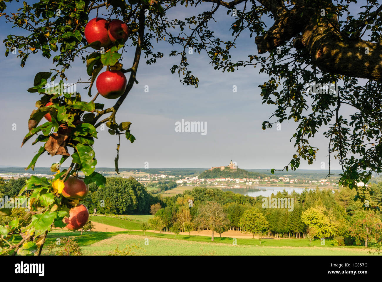 Güssing: Burg Güssing, Fischteiche, Apfelbäume, Burgenland, Österreich Stockfoto