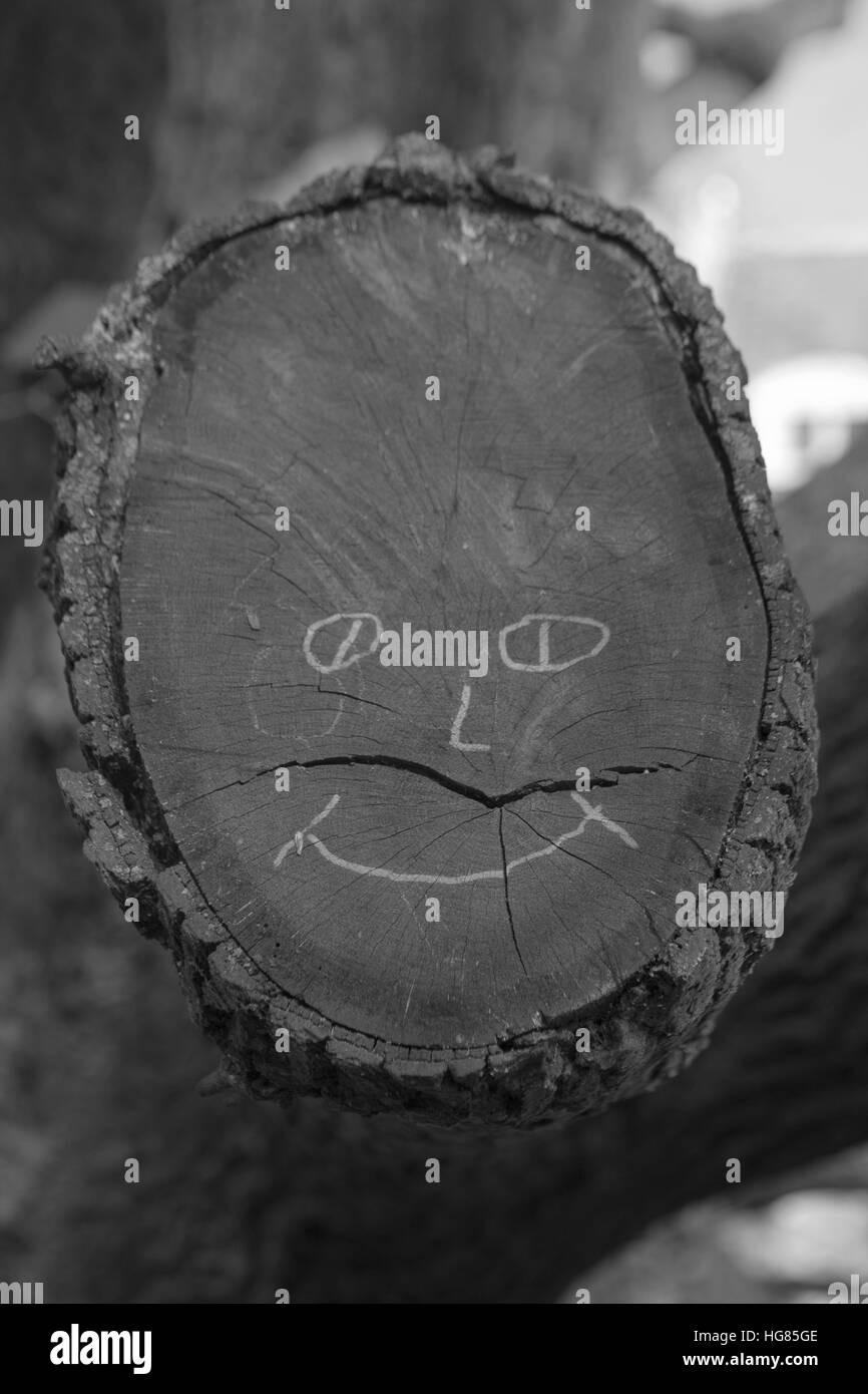 Smiley-Gesicht Stockfoto