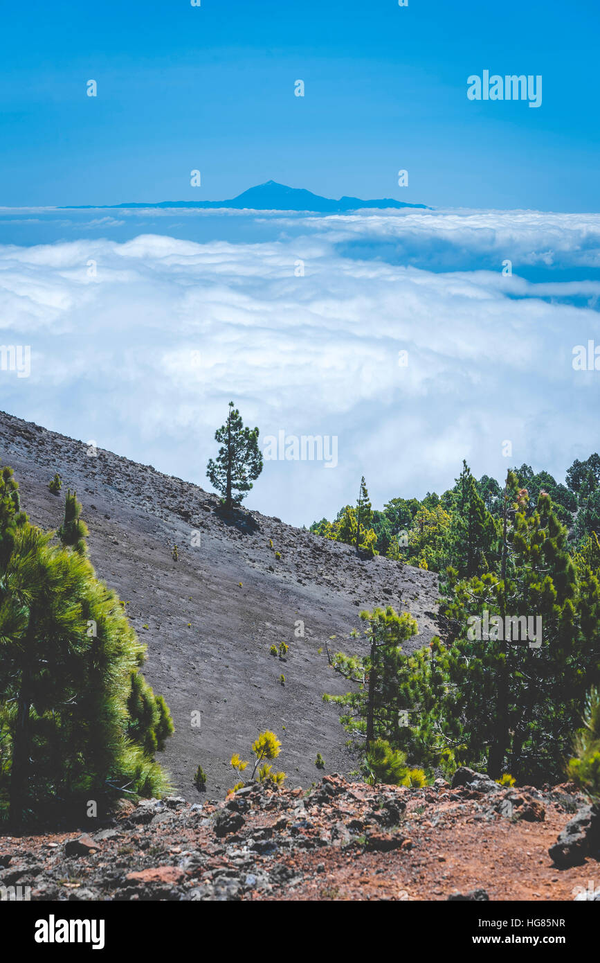 Bäume wachsen von Hill gegen Wolkengebilde Stockfoto