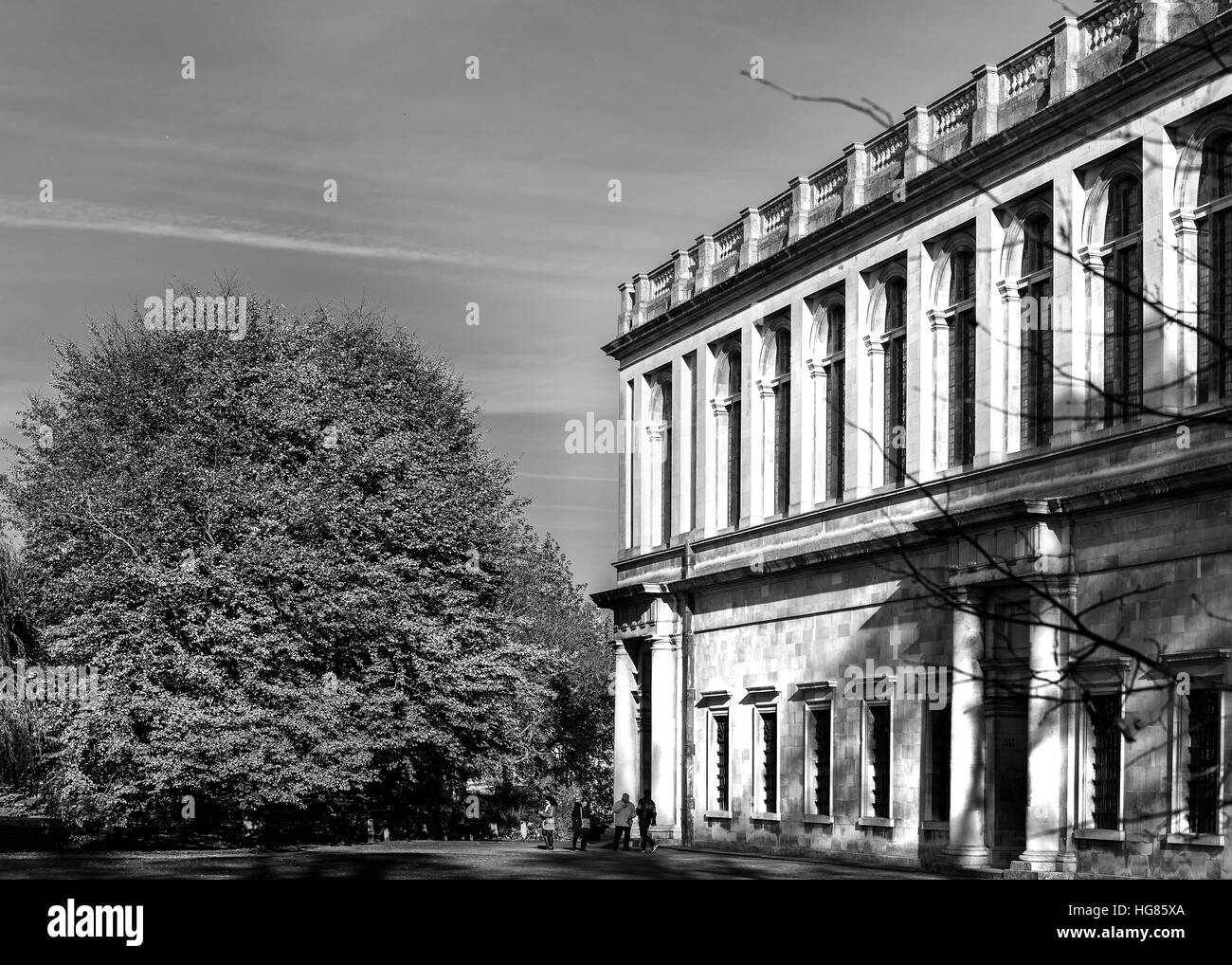 Wren Library am Trinity College der Universität Cambridge, England. Stockfoto