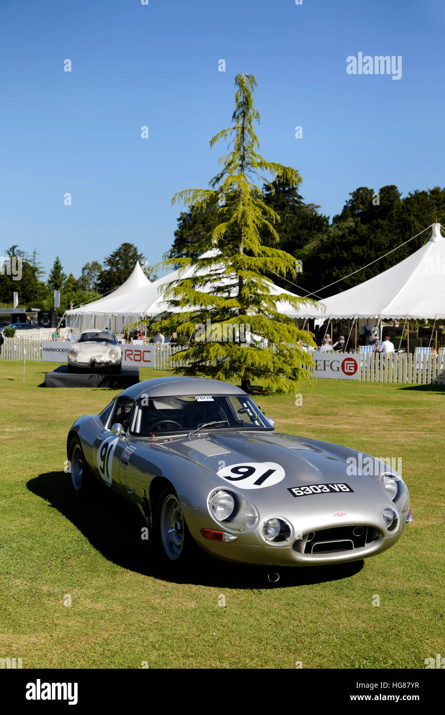 Ein Jaguar E-Type Rennwagen auf die Wilton Classic & Supercar Show 2015, Wilton House, Wiltshire, Vereinigtes Königreich. Stockfoto