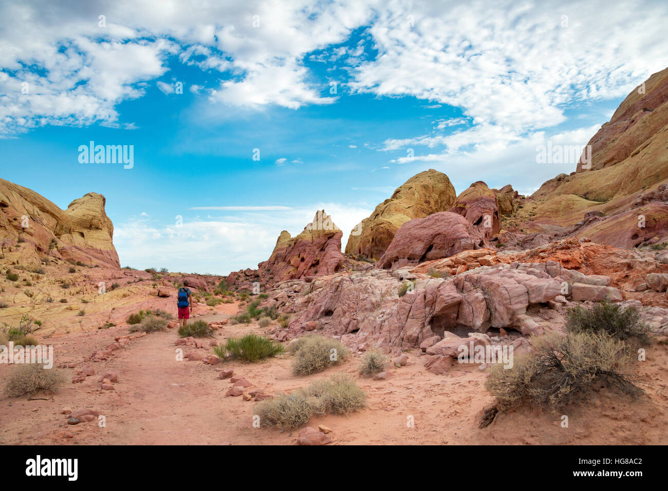 Solo junge männliche Wanderer auf White Dome Trail, rote orange Felsformationen, Valley of Fire State Park, Mojave-Wüste, Nevada, USA Stockfoto