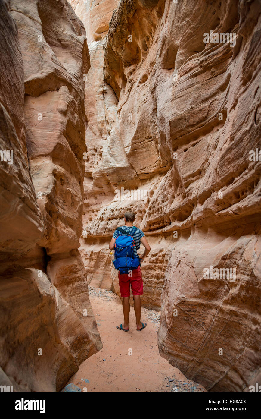 Junger Mann stehend in Schlucht Slot Canyon, White Dome Trail, rote orange Sandsteinfelsen, Valley of Fire State Park, Nevada, USA Stockfoto
