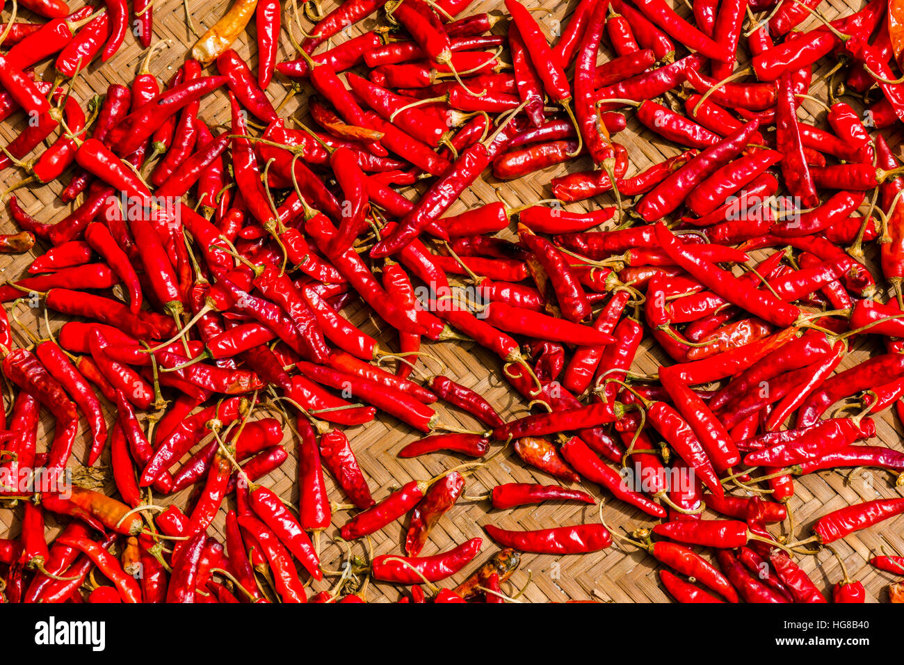 Chilis trocknen in der Sonne auf einer geflochtene Matte, Sarangkot, Distrikt Kaski, Nepal Stockfoto