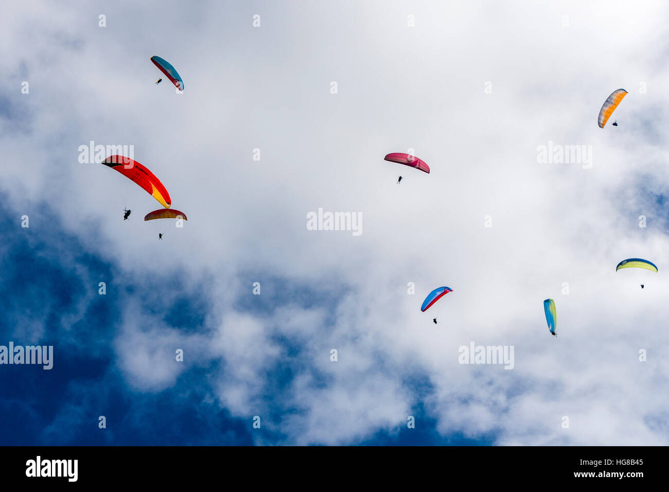 Viele Gleitschirme fliegen in der Luft über Pokhara und Phewa See, Sarangkot, Distrikt Kaski, Nepal Stockfoto
