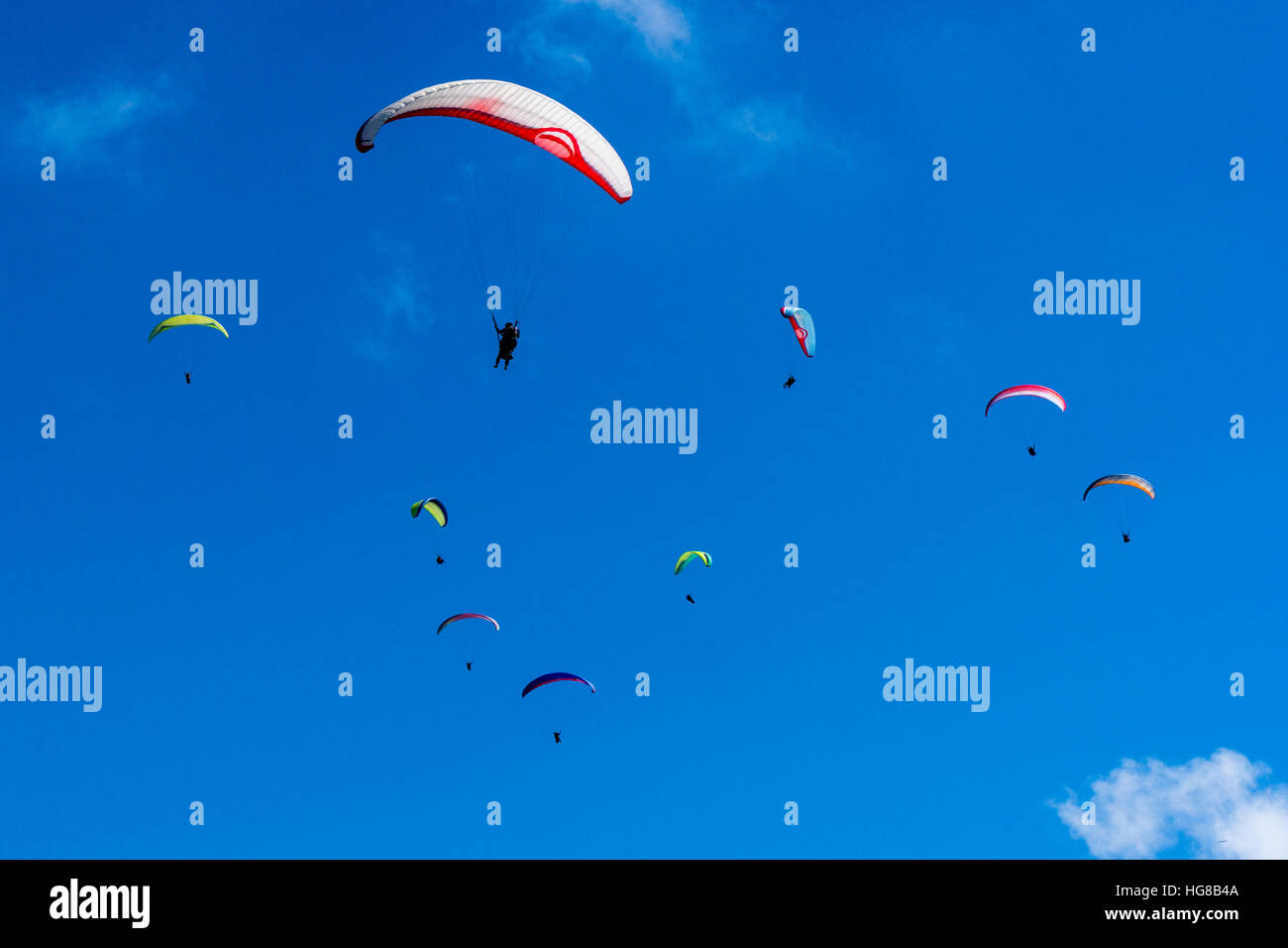 Viele Gleitschirme fliegen in der Luft über Pokhara und Phewa See, Sarangkot, Distrikt Kaski, Nepal Stockfoto
