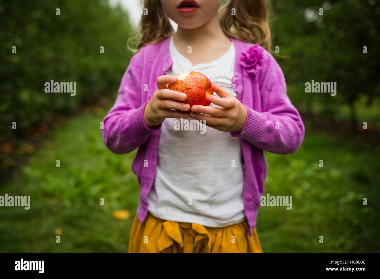 Mittelteil der Mädchen essen Apfel stehend im Obstgarten Stockfoto