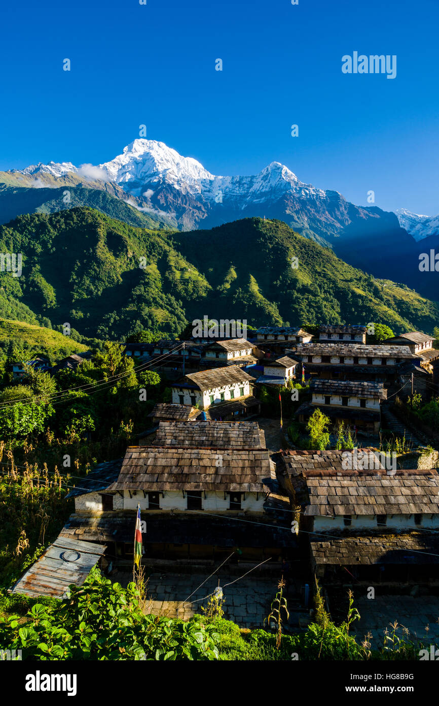 Blick auf das historische Dorf mit den Bergen Annapurna South, links, und Himchuli, rechts, Ghandruk, Distrikt Kaski, Nepal Stockfoto