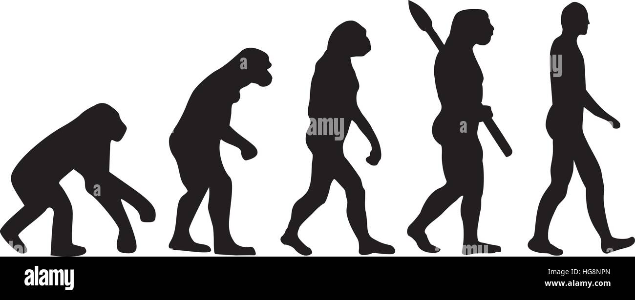 Darwin Evolution des Menschen Stock Vektor