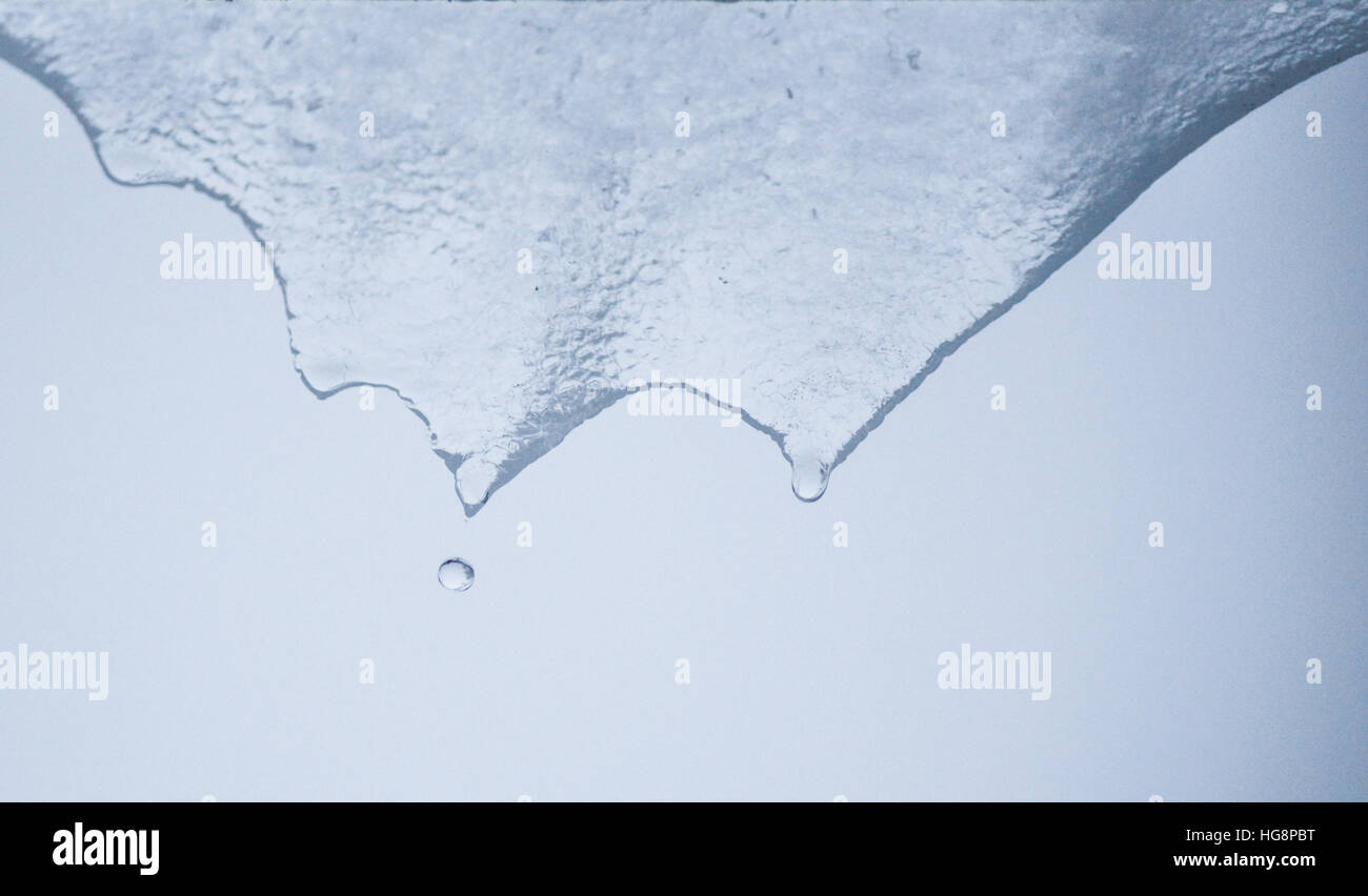 Transparente Eiszapfen schmelzen und Tropfwasser. Stockfoto