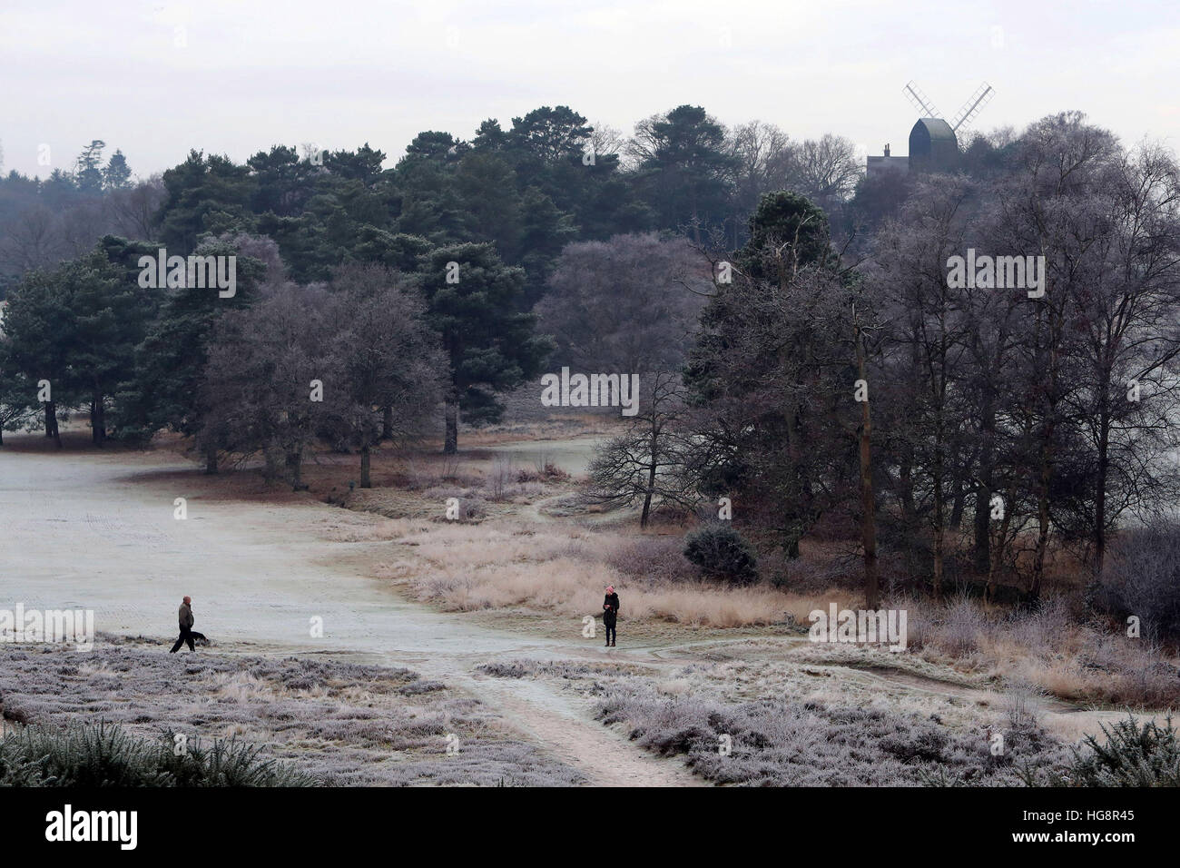 Wanderer auf eine frostige Reigate Heide in Surrey, Hund, da Temperaturen über Südengland wieder unter den Gefrierpunkt gesunken. Stockfoto