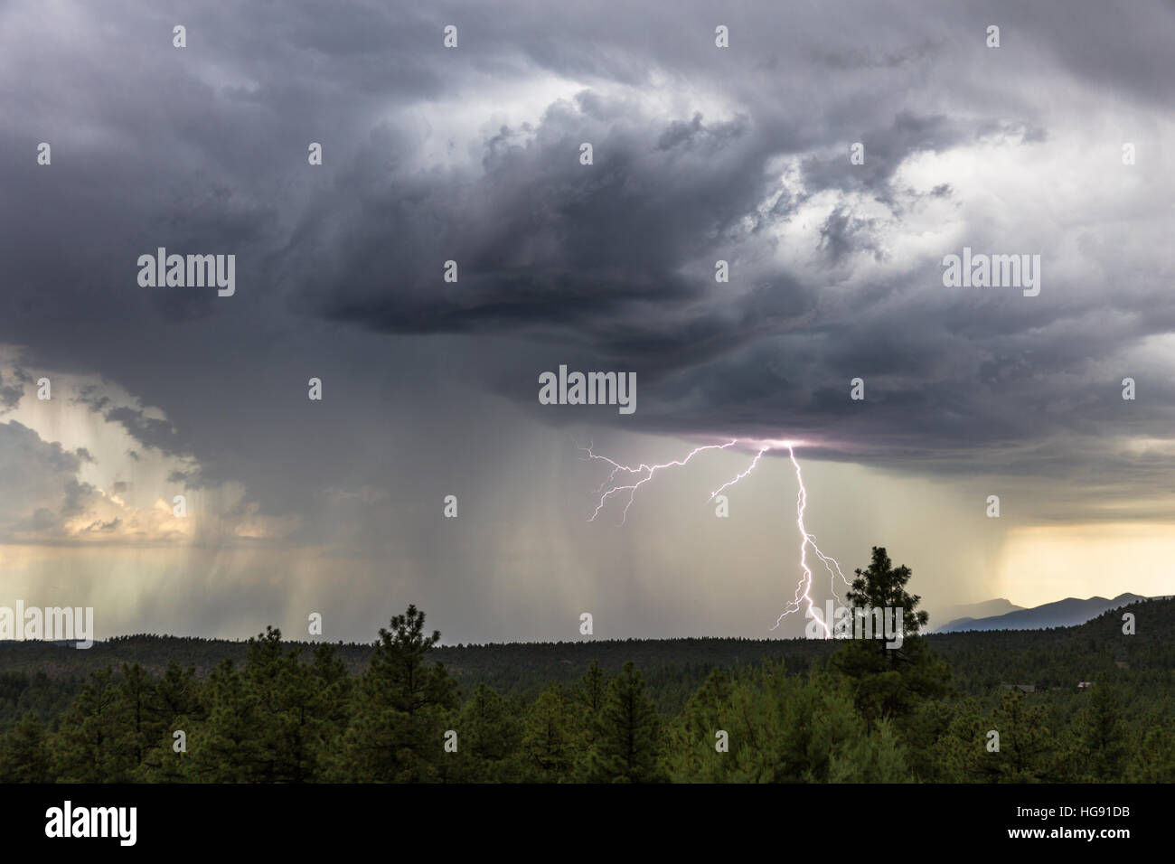 Starkes Gewitter mit starkem Regen und Blitz in der Nähe von Pine, Arizona Stockfoto