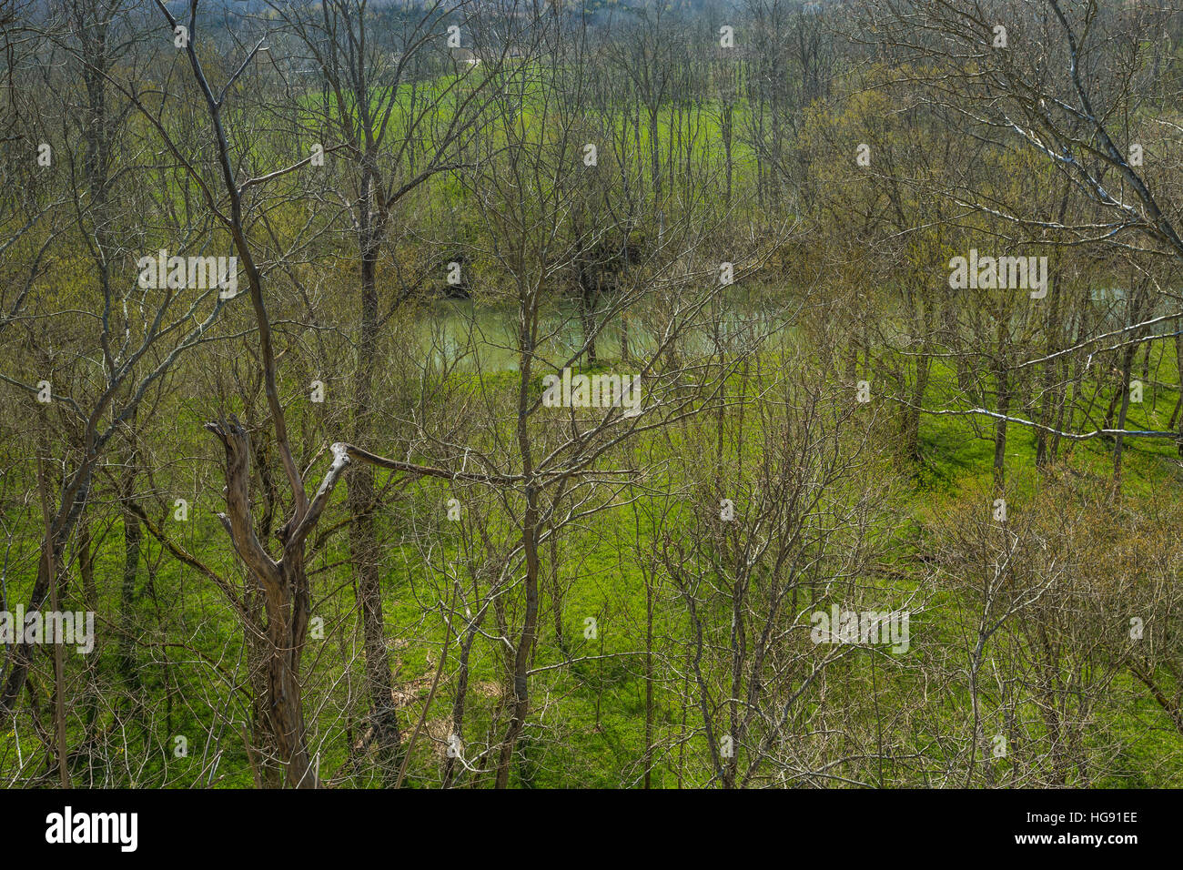 Frühling-Bäume entlang dem Tal des Ohio Brush Creek angesehen von Great Serpent Mound bei Serpent Mound State Memorial im Adams County, Ohio, USA Stockfoto