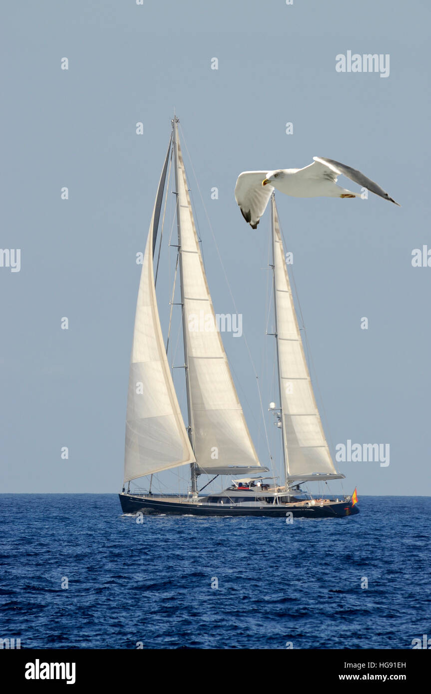 Ein Behälter, angetrieben vom Wind auf das unendliche Meer ist das Symbol der Freiheit. Stockfoto
