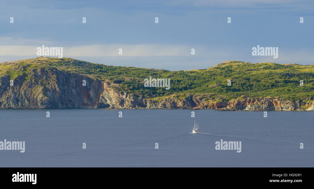 Segelboot navigiert in der Nähe von Twillingate Klippen, Seelandschaft, Landschaft, Neufundland, Atlantik-Kanada. Stockfoto