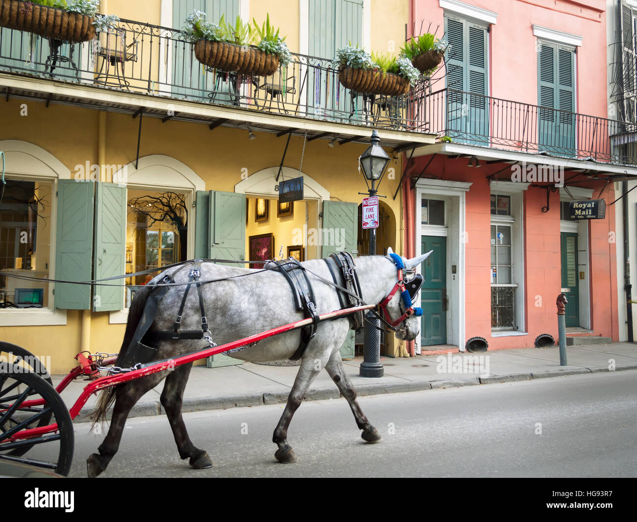 Kutschfahrt des French Quarter, New Orleans Stockfoto