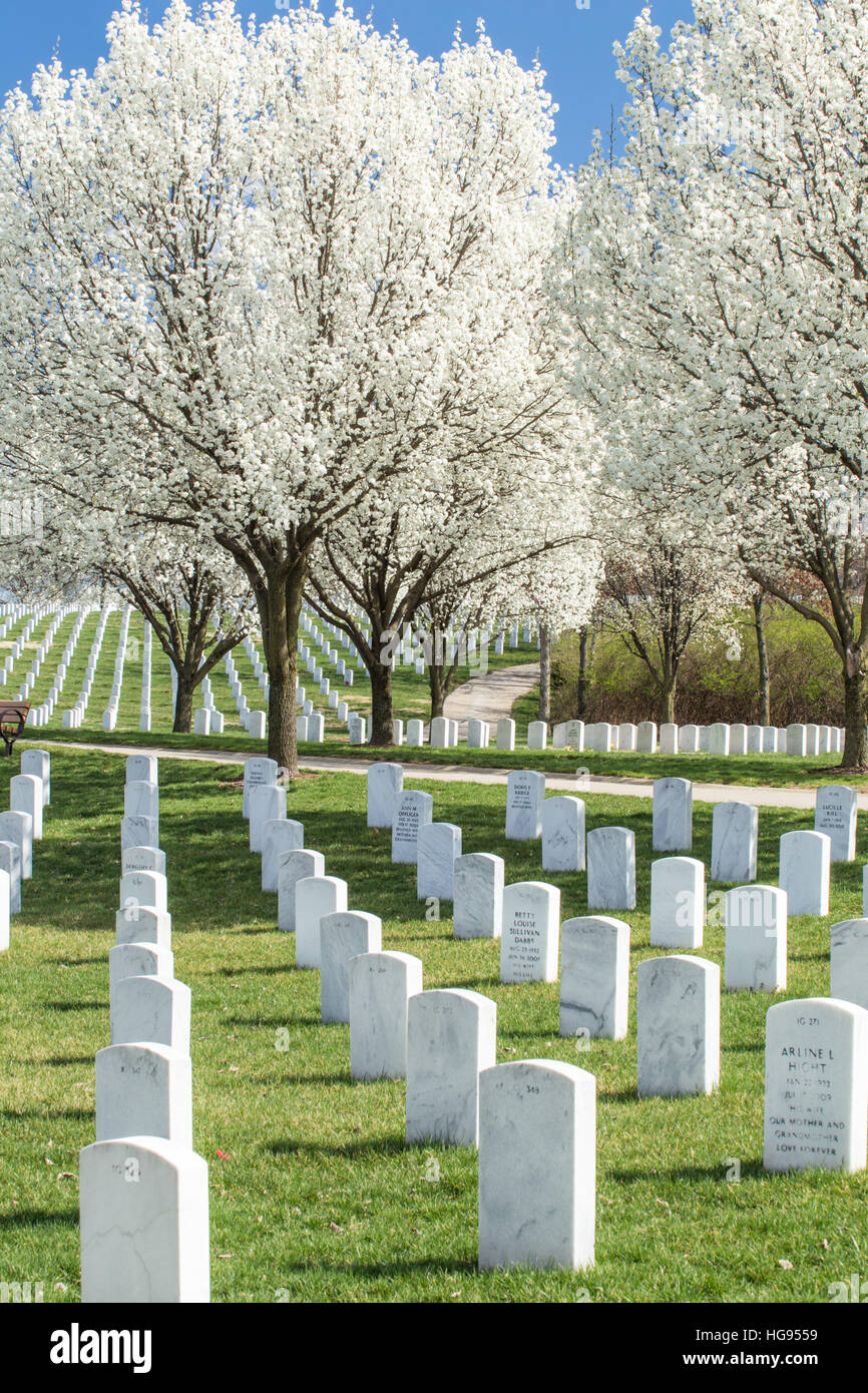 Grabsteine Jefferson Barracks National Cemetery in St. Louis, Mo. Stockfoto