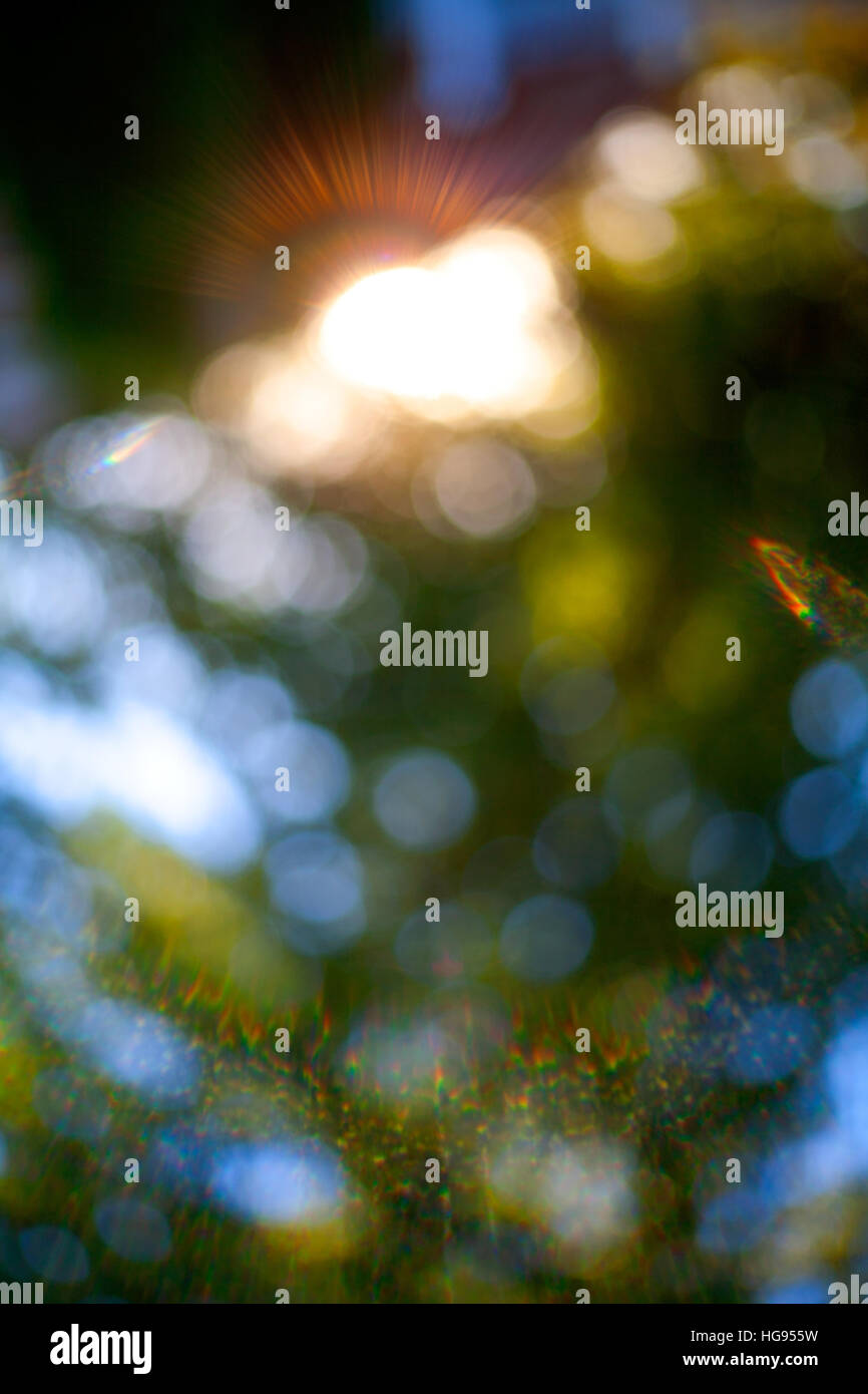 bunte abstrakte Licht Fackeln und Fokus bokeh Stockfoto