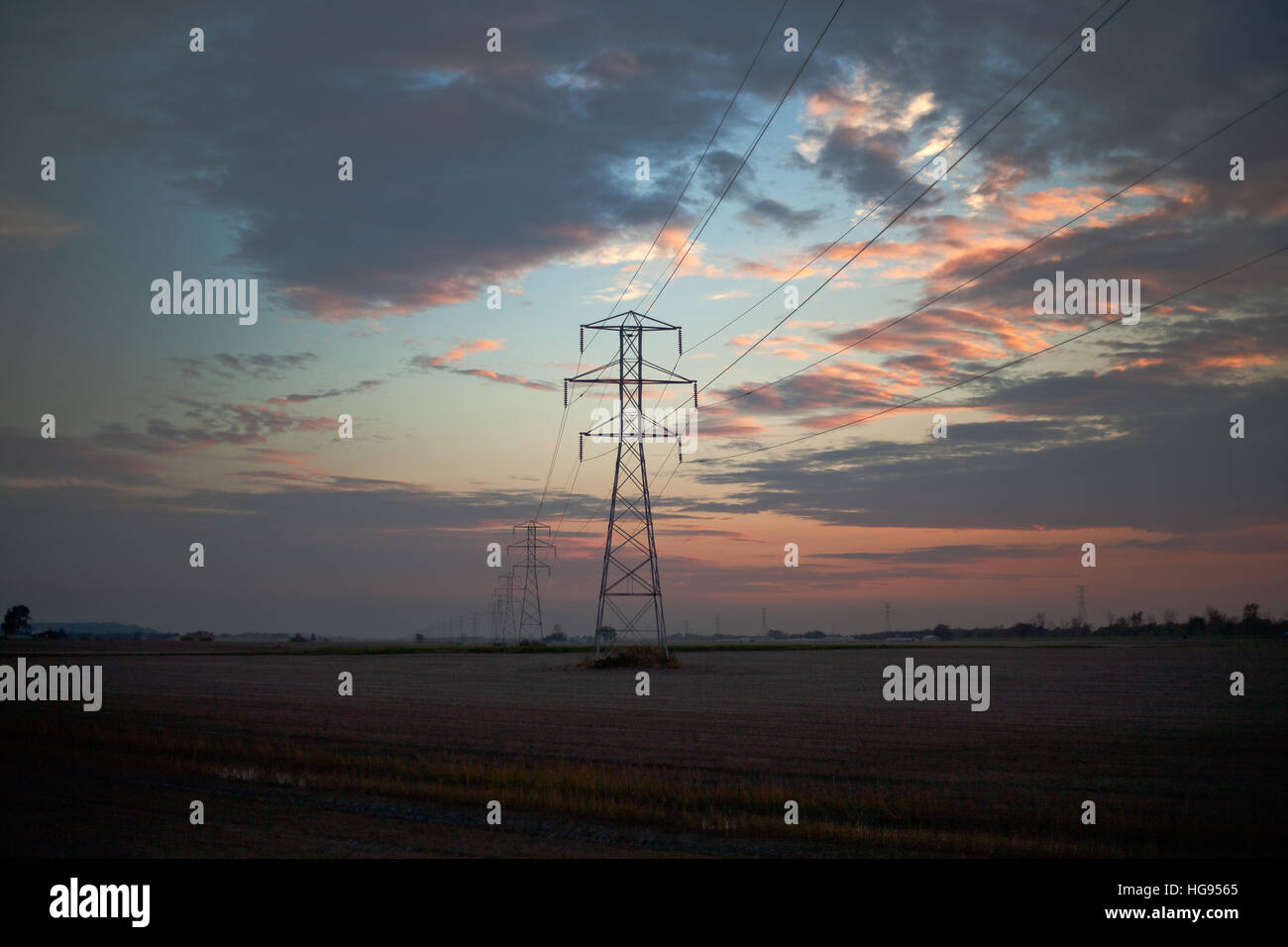 Stromleitungen bei Sonnenuntergang in ländlichen Landschaft Stockfoto