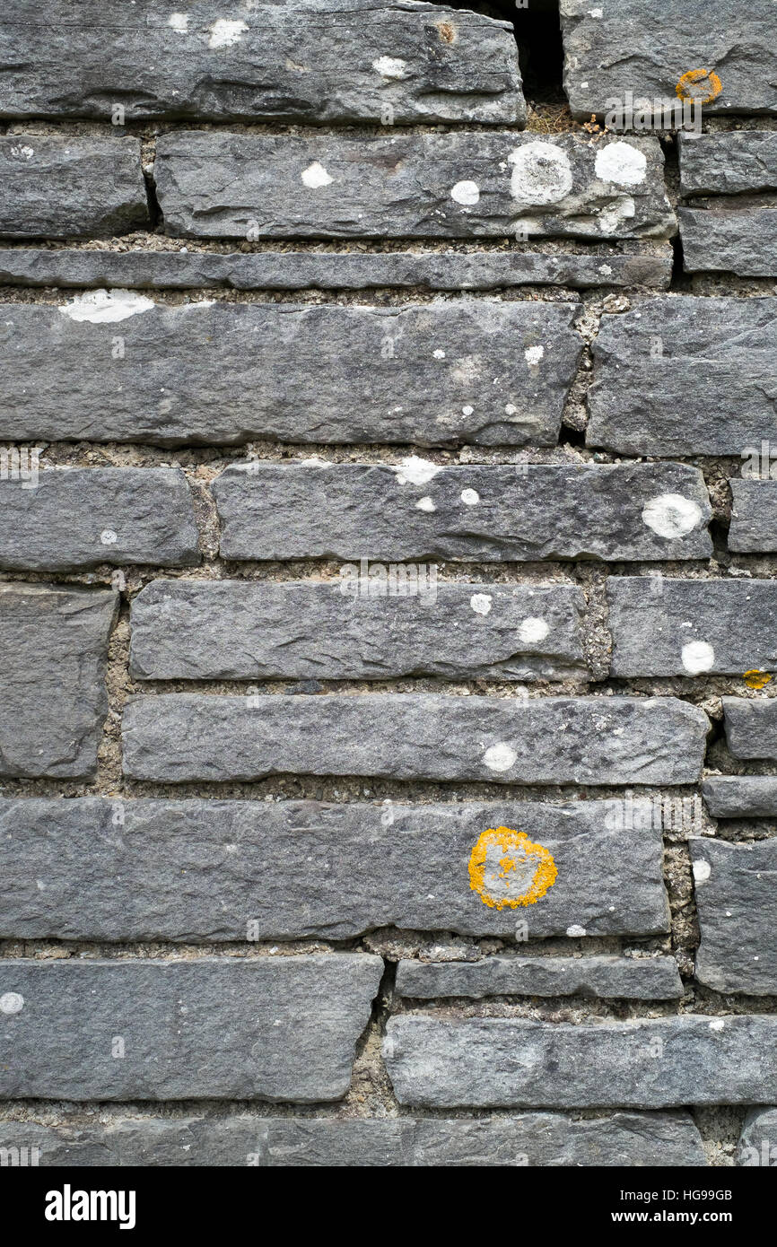 Nahaufnahme von traditionellem Sandsteinwand mit Flechten Stockfoto