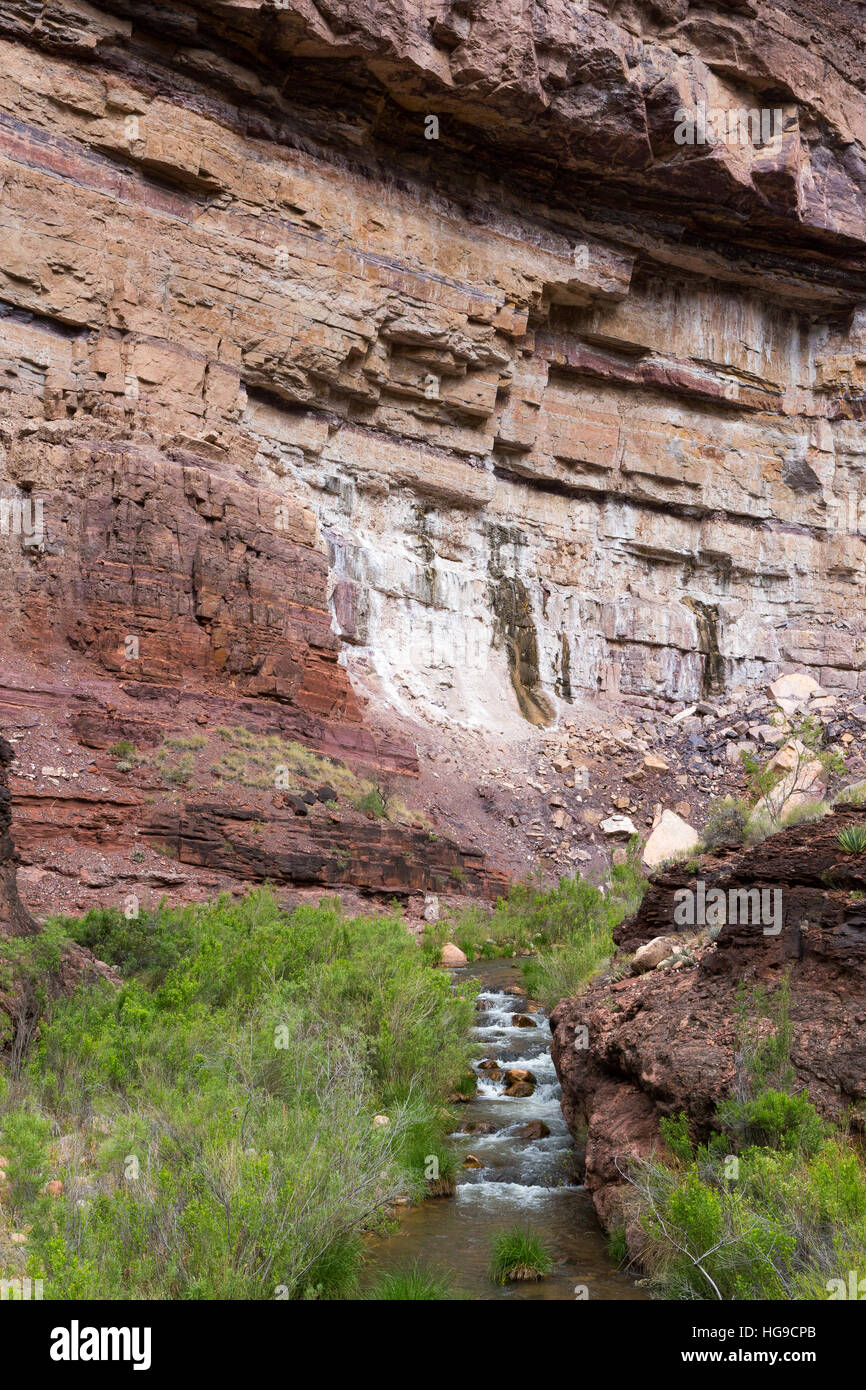 Erodierte Tapeats Sandstein über den Bright Angel Creek aufbrechen. Grand Canyon Nationalpark in Arizona Stockfoto