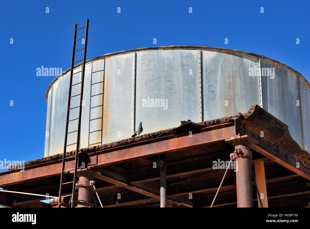 Wasser Tank, Marree, South Australia Stockfoto