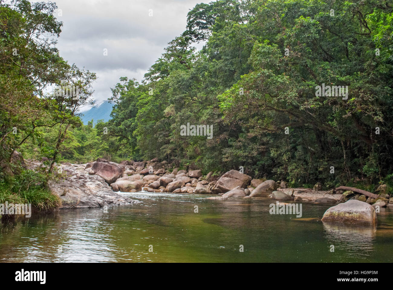 Mossman Gorge, Daintree Nationalpark, Queensland, Australien Stockfoto