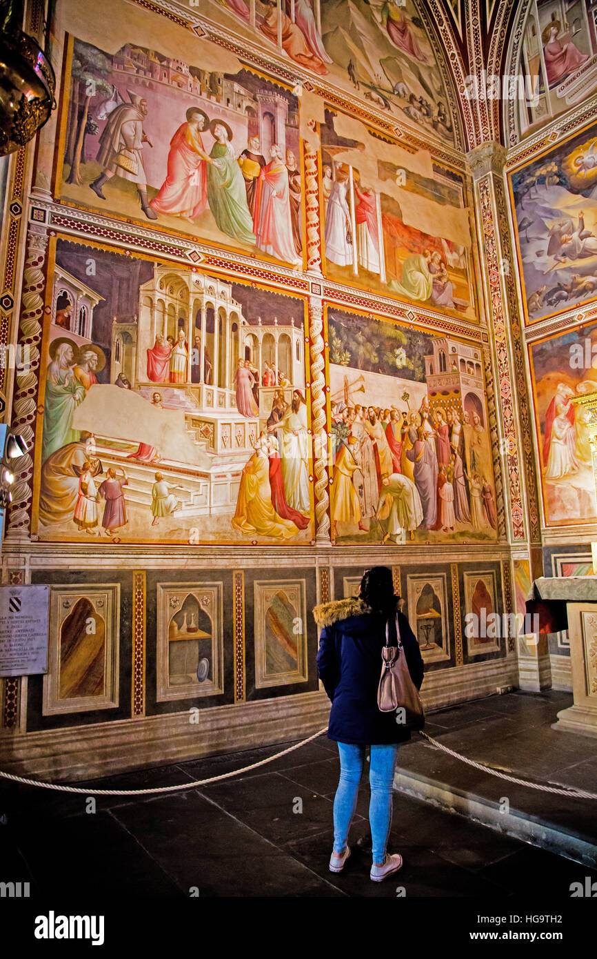 Frau, bewundern Sie die Fresken in der Cappella Baroncelli in Santa Croce Basilika Florenz Italien Stockfoto