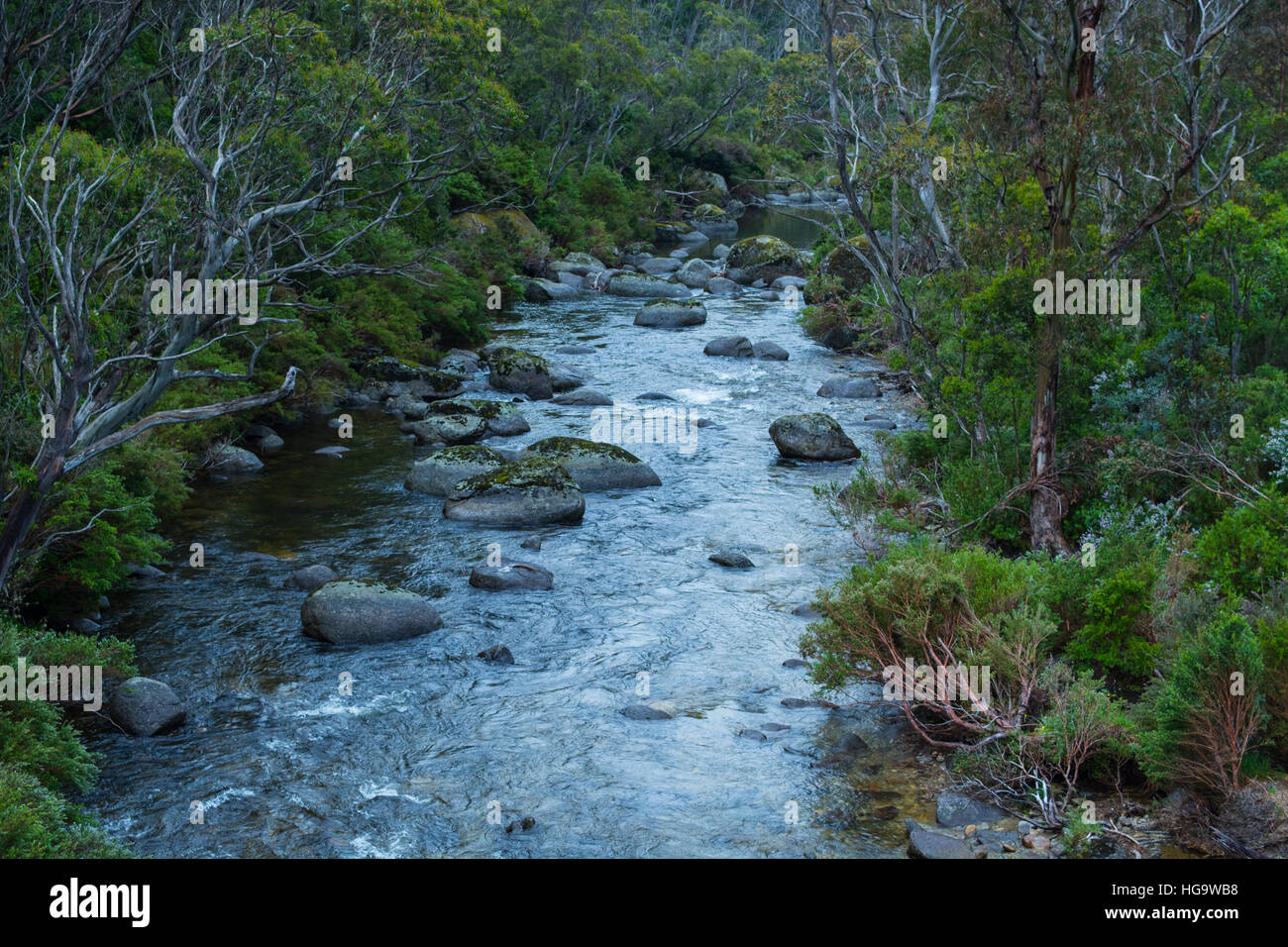 Thredbo Fluss Kosciuszko National Park Australien Stockfoto