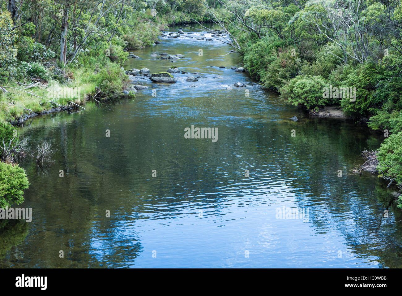 Thredbo Fluss Kosciuszko National Park Australien Stockfoto