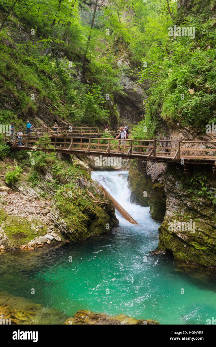 Die Radovna Fluss durchschneidet die Vintgar-Schlucht in der Nähe von Bled, obere Krain, Slowenien.  Die Schlucht ist im Triglav-Nationalpark. Stockfoto