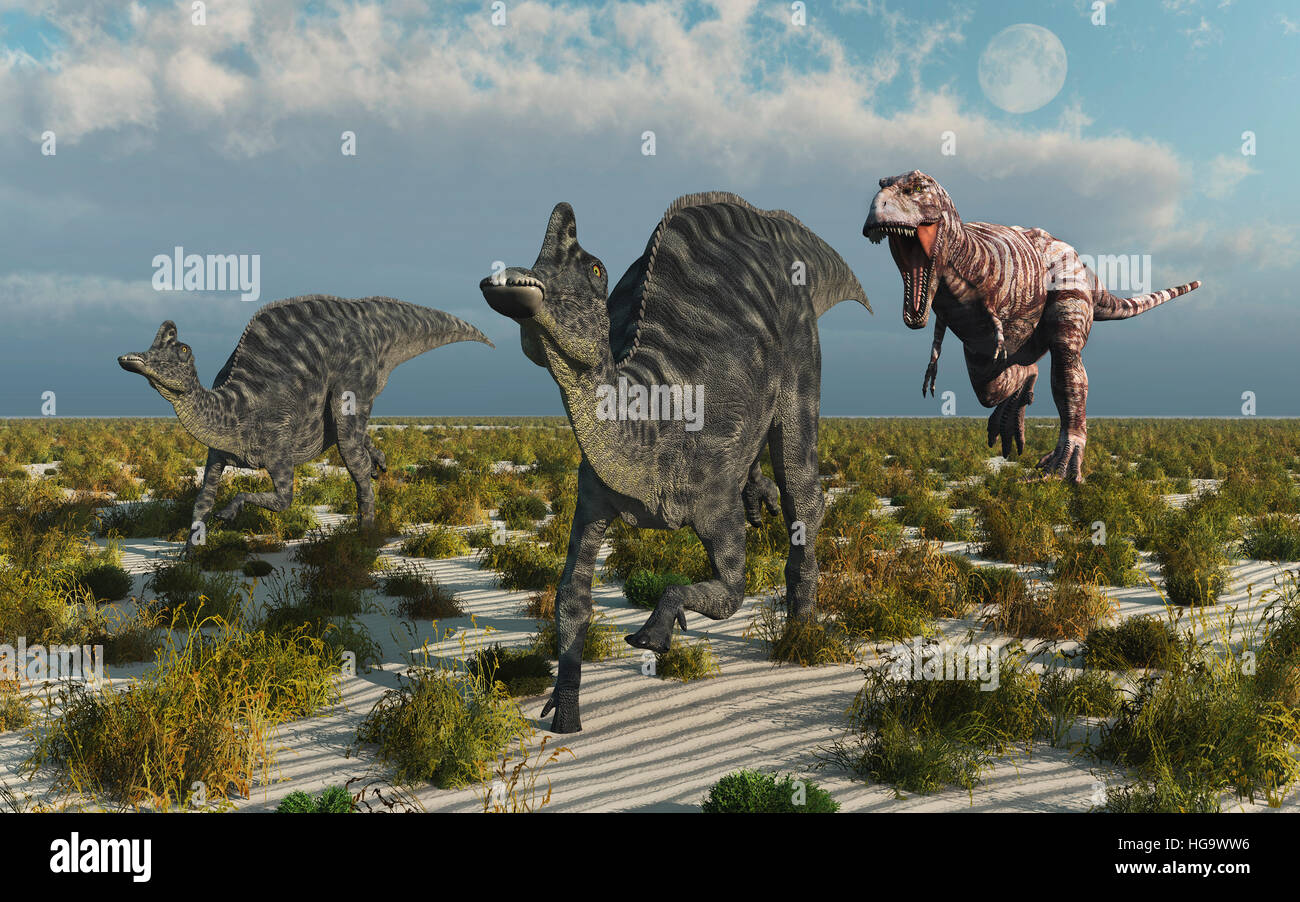Ein fleischfressender t-Rex Dinosaurier, jagen ein paar Pflanzenfresser  Velafrons Stockfotografie - Alamy