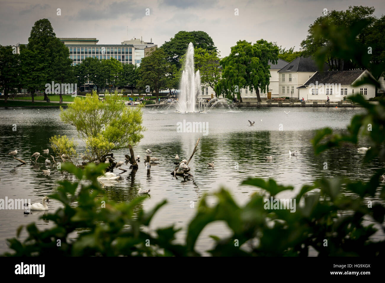 Blick auf den Brunnen in Breiavatnet, Stavanger, Norwegen Stockfoto