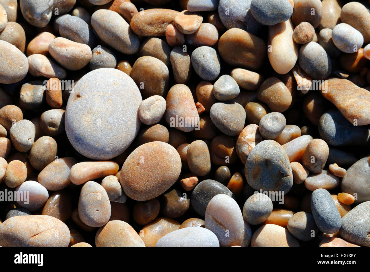 Kieselsteine am Strand in Dorset, England Stockfoto