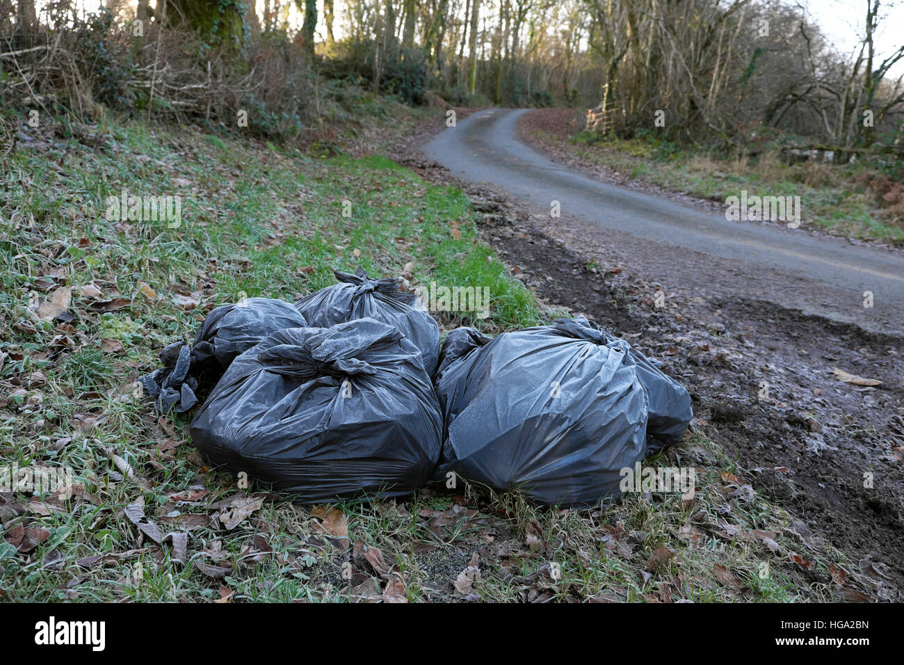 Schwarzer Kunststoff Müllsäcke Abfall erwarten Sammlung auf einer Landstraße Lane Straße im Winter Carmarthenshire Wales UK KATHY DEWITT Stockfoto