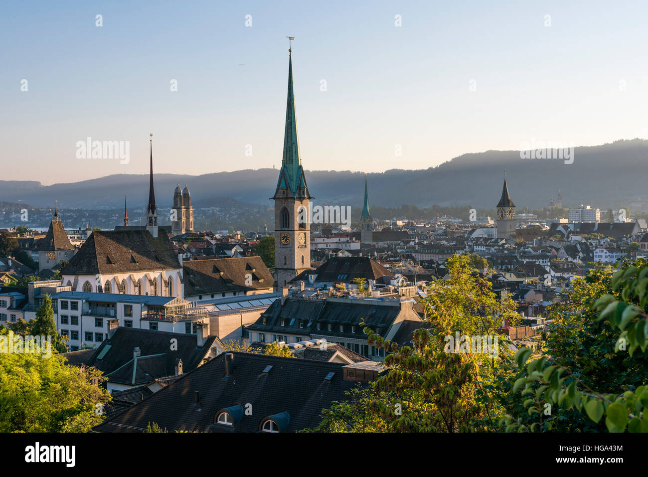 Zürich-Stadt-Panorama mit Grossmünster Kathedrale, Predigerkirche, Fraumünster und St. Peter in der untergehenden Sonne. Stockfoto