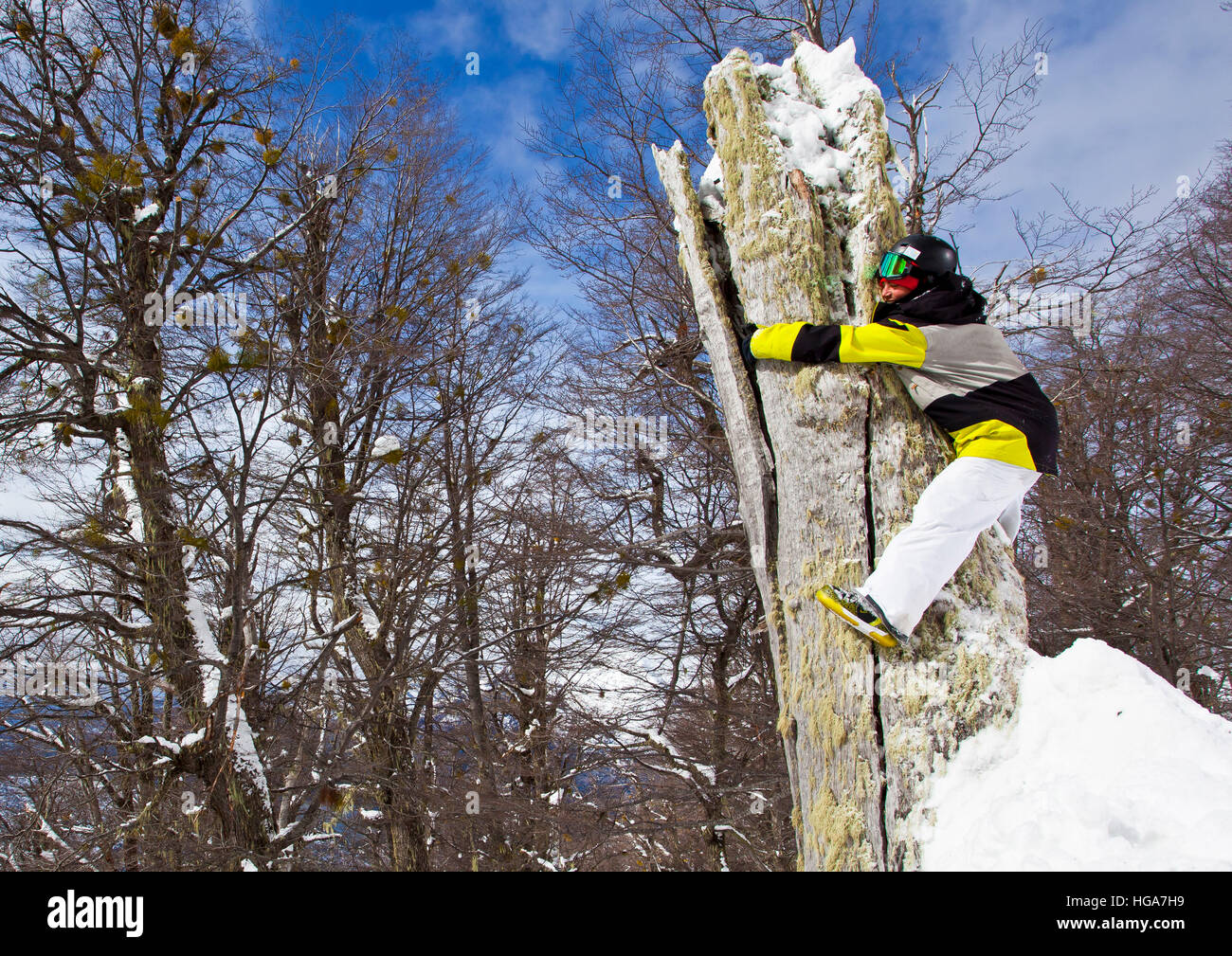Ein Snowboarder um Pannen und schmiegt sich an einen Baum im Wald, Cerro Catedral, Argentinien Stockfoto